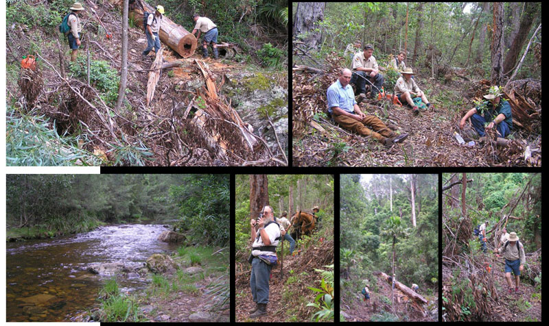 AFA and NPWS maintaining the Corn Trail