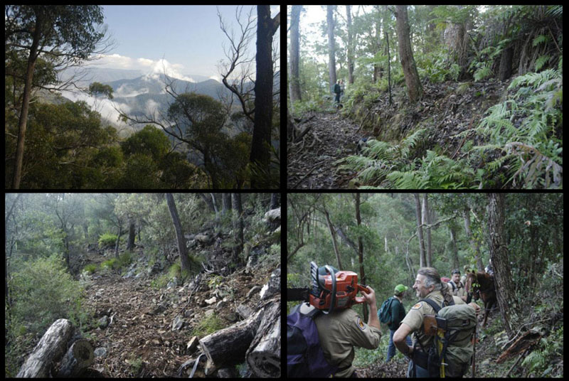 AFA and NPWS maintaining the Shoebridge Track